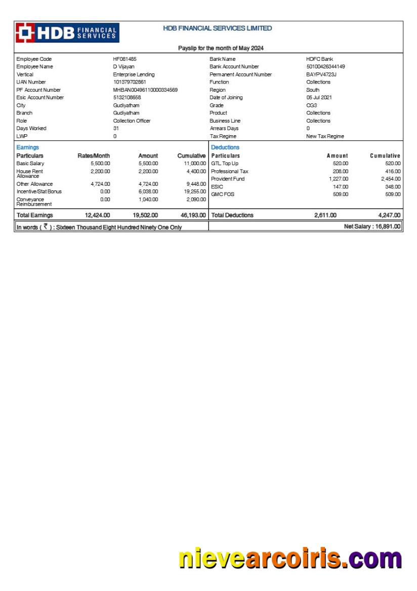 HDB Financial Services payslip